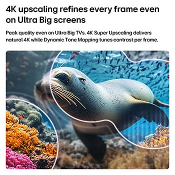 LG NANO 4K UHD AI nu70 with 4K Super Upscaling and Dynamic Tone Mapping shows an underwater scene of a sea lion, as AI recognizes and upscales each frame up to 4K resolution.